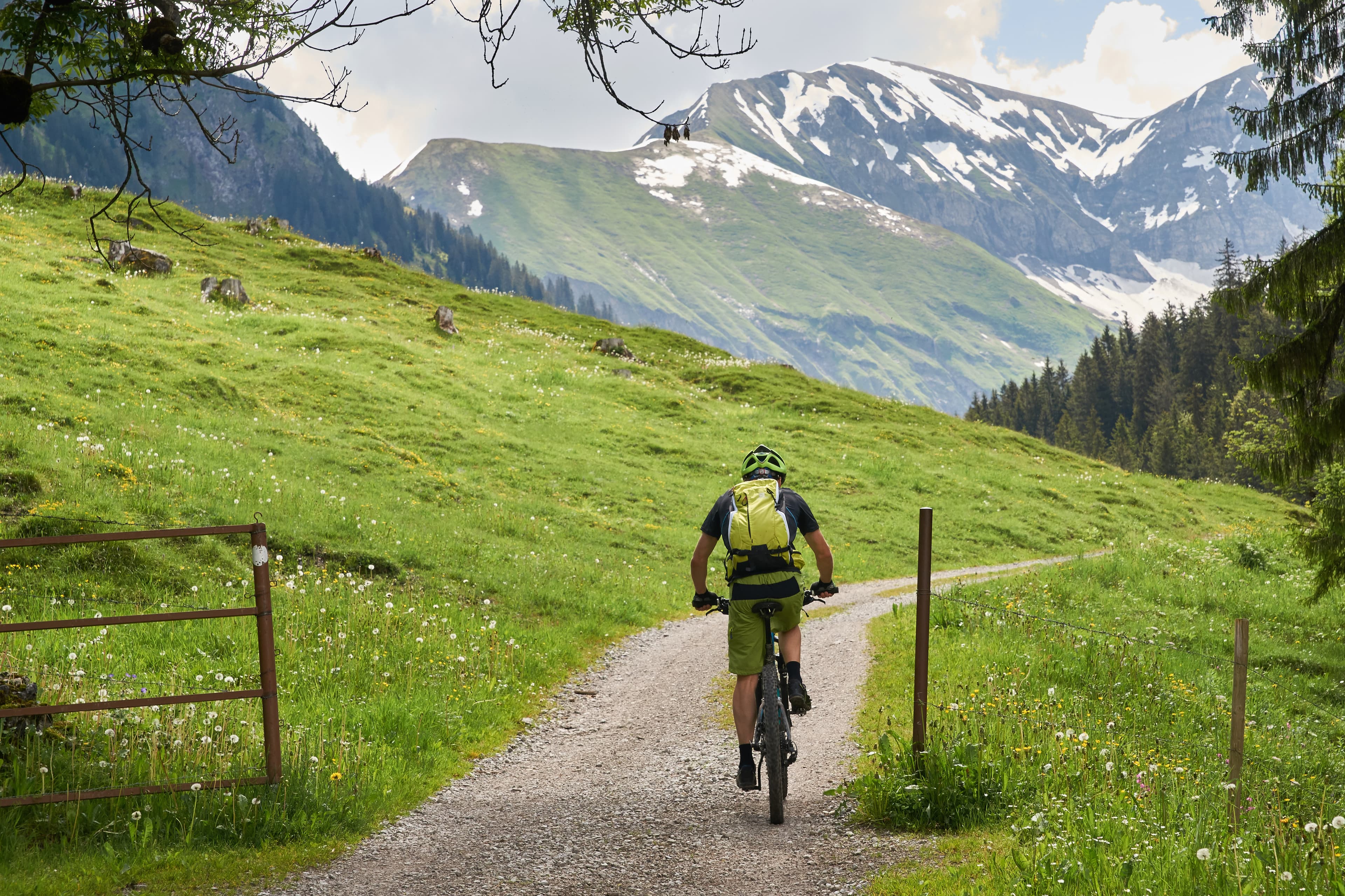 Cycling & Mountain Biking